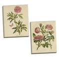 thumbnail image 1 of Gango Home Decor Vintage Herbal Botany XVIII v2 Crop & Herbal Botany XXIV Butterfly Crop by Wild Apple Portfolio (Ready to Hang); Two 16x20in Hand-Stretched Canvases, 1 of 5