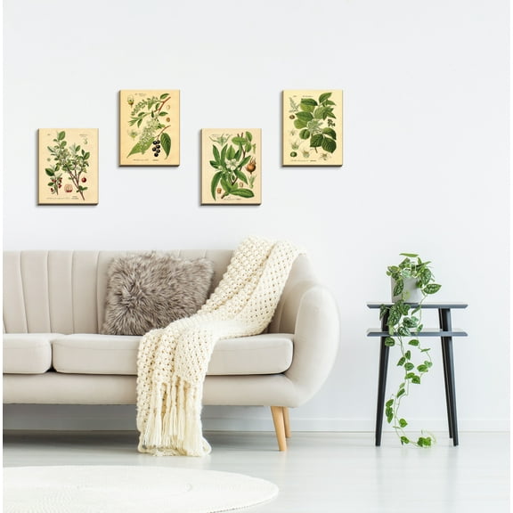Gango Home Decor Vintage Plant Botanical Wall Art; Four Green 8x10in Hand-Stretched Canvases