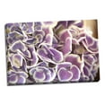 thumbnail image 1 of Gango Home Decor Violet Hydrangea by Karyn Millet (Ready to Hang); One 36x24in Hand-Stretched Canvas, 1 of 4