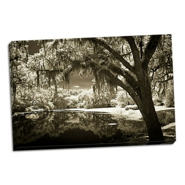 Gango Home Decor Walker's Pond II by Alan Hausenflock (Ready to Hang); One 36x24in Hand-Stretched Canvas