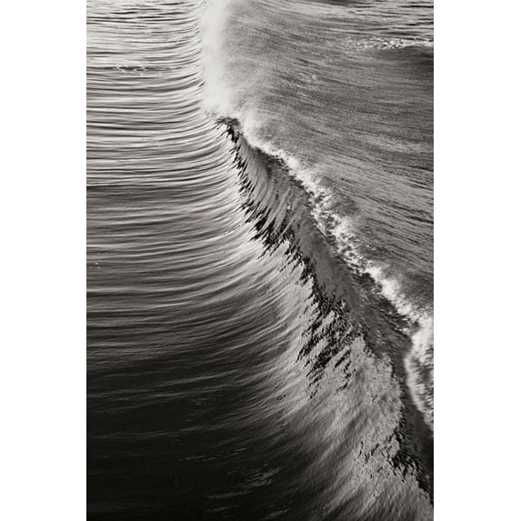 Gango Home Decor Wave 4 by Lee Peterson (Printed on Paper); One 24x36in Fine Art Paper Giclee Print