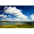 thumbnail image 1 of Gango Home Decor Wetland Herons I by Alan Hausenflock (Printed on Paper); One 36x24in Fine Art Paper Giclee Print, 1 of 4