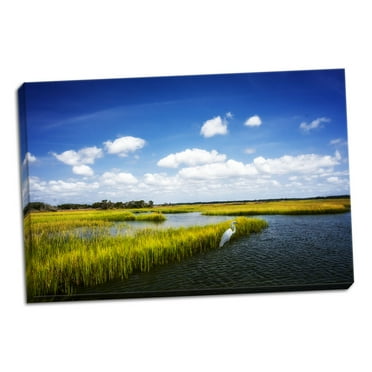 Gango Home Decor Wetland Herons II by Alan Hausenflock (Ready to Hang); One 36x24in Hand-Stretched Canvas