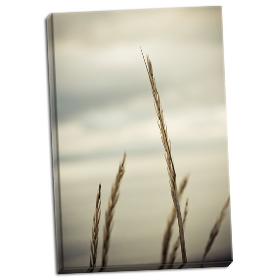 Gango Home Decor Whidbey Grass IV by Erin Berzel (Ready to Hang); One 24x36in Hand-Stretched Canvas