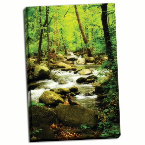 Gango Home Decor White Oak River I by Alan Hausenflock (Ready to Hang); One 24x36in Hand-Stretched Canvas