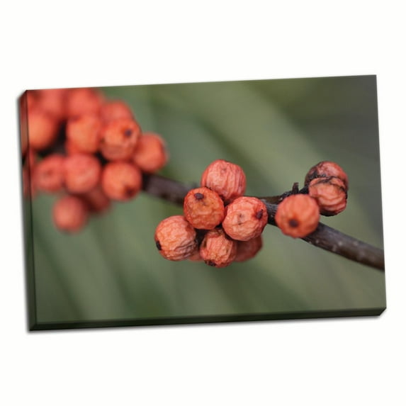 Gango Home Decor Wild Berries II by Erin Berzel (Ready to Hang); One 36x24in Hand-Stretched Canvas