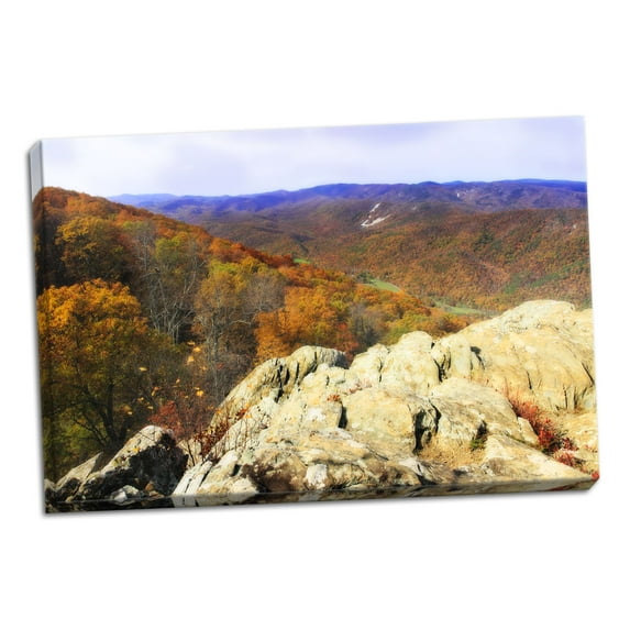 Gango Home Decor Wildcat Ridge IV by Alan Hausenflock (Ready to Hang); One 36x24in Hand-Stretched Canvas