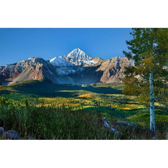 Gango Home Decor Wilson Peak Aspens II by Larry Malvin (Printed on Paper); One 36x24in Fine Art Paper Giclee Print