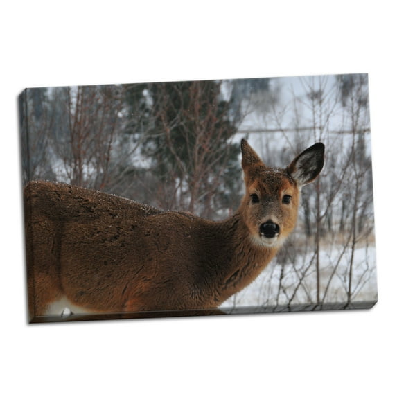 Gango Home Decor Winter Doe I by Erin Berzel (Ready to Hang); One 36x24in Hand-Stretched Canvas