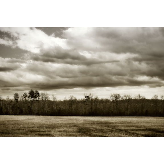 Gango Home Decor Winter Fields III by Alan Hausenflock (Printed on Paper); One 36x24in Fine Art Paper Giclee Print