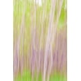 thumbnail image 1 of Gango Home Decor Yakima River Trail II by Kathy Mahan (Printed on Paper); One 24x36in Fine Art Paper Giclee Print, 1 of 4