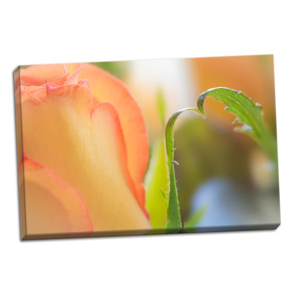 Gango Home Decor Yellow Roses I by Kathy Mahan (Ready to Hang); One 36x24in Hand-Stretched Canvas