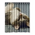 thumbnail image 1 of Ganma Animal Pet The Carpet Cute Cats Shower Curtain Polyester Fabric Bathroom Shower Curtain 60x72 inches, 1 of 3