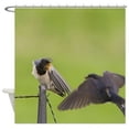 thumbnail image 1 of Ganma Animals Shower Curtain Polyester Fabric Bathroom Shower Curtain 66x72 inches, 1 of 3