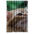 thumbnail image 1 of Ganma Captured Audience cat Shower Curtain Polyester Fabric Bathroom Shower Curtain 48x72 inches, 1 of 3