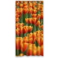 thumbnail image 1 of Ganma Elegant Tulips Background Shower Curtain Polyester Fabric Bathroom Shower Curtain 36x72 inches, 1 of 3