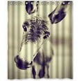 thumbnail image 1 of Ganma Funny Donkey Background Shower Curtain Polyester Fabric Bathroom Shower Curtain 60x72 inches, 1 of 3