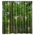 thumbnail image 1 of Ganma Green Tree Botany Shower Curtain Polyester Fabric Bathroom Shower Curtain 66x72 inches, 1 of 3