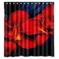 thumbnail image 1 of Ganma Jump To The Sky Shower Curtain Polyester Fabric Bathroom Shower Curtain 66x72 inches, 1 of 3