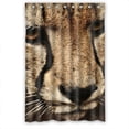 thumbnail image 1 of Ganma Mighty Leopard Shower Curtain Polyester Fabric Bathroom Shower Curtain 48x72 inches, 1 of 3