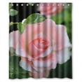 thumbnail image 1 of Ganma Pink Chinese Rose Shower Curtain Polyester Fabric Bathroom Shower Curtain 60x72 inches, 1 of 3