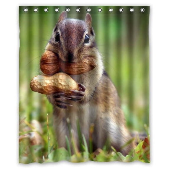 Ganma Squirrels Take The Peanut Shower Curtain Polyester Fabric Bathroom Shower Curtain 60x72 inches