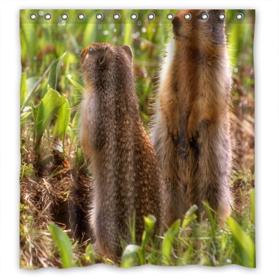 Ganma Standing pretty chipmunk Shower Curtain Polyester Fabric Bathroom Shower Curtain 66x72 inches