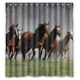 thumbnail image 1 of Ganma The Animal Series Wild Running Horses Shower Curtain Polyester Fabric Bathroom Shower Curtain 66x72 inches, 1 of 3