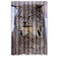 thumbnail image 1 of Ganma The fierce lynx Shower Curtain Polyester Fabric Bathroom Shower Curtain 48x72 inches, 1 of 3