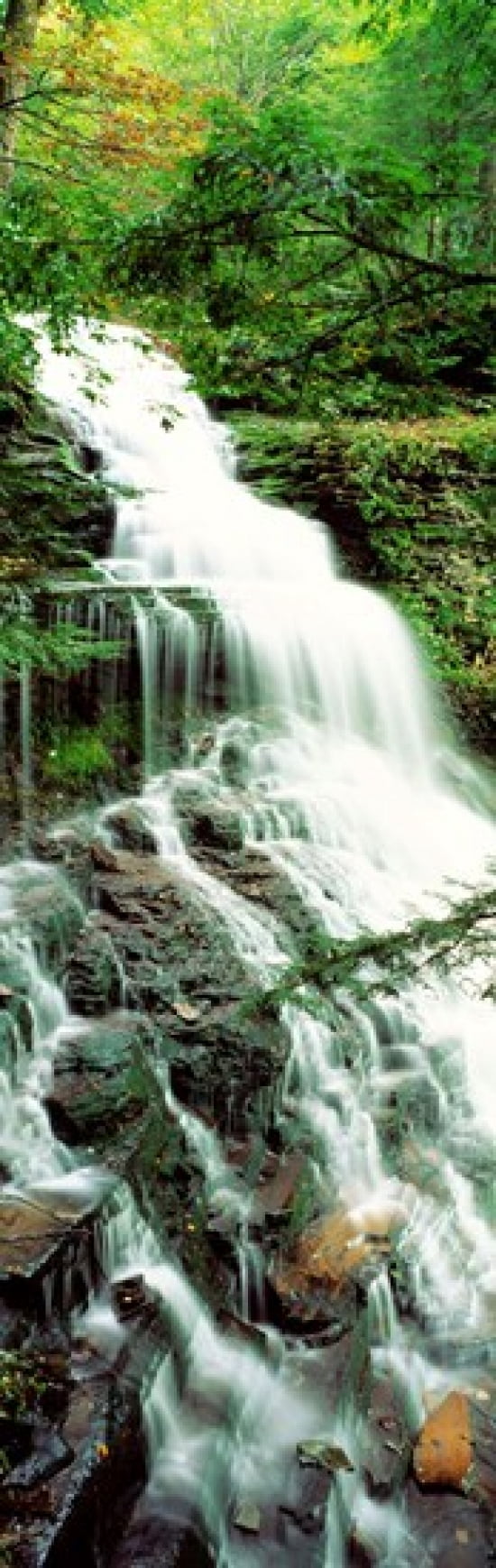 Ganoga Falls Ricketts Glenn State Park PA Canvas Art - Panoramic Images (18 x 6)