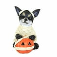 thumbnail image 1 of Ganz Costume Dog Figurine - One Figurine 3.75 Inch, Polyresin - Vampire Jack-O-Lantern Ghost Er72731 Mummy, 1 of 3