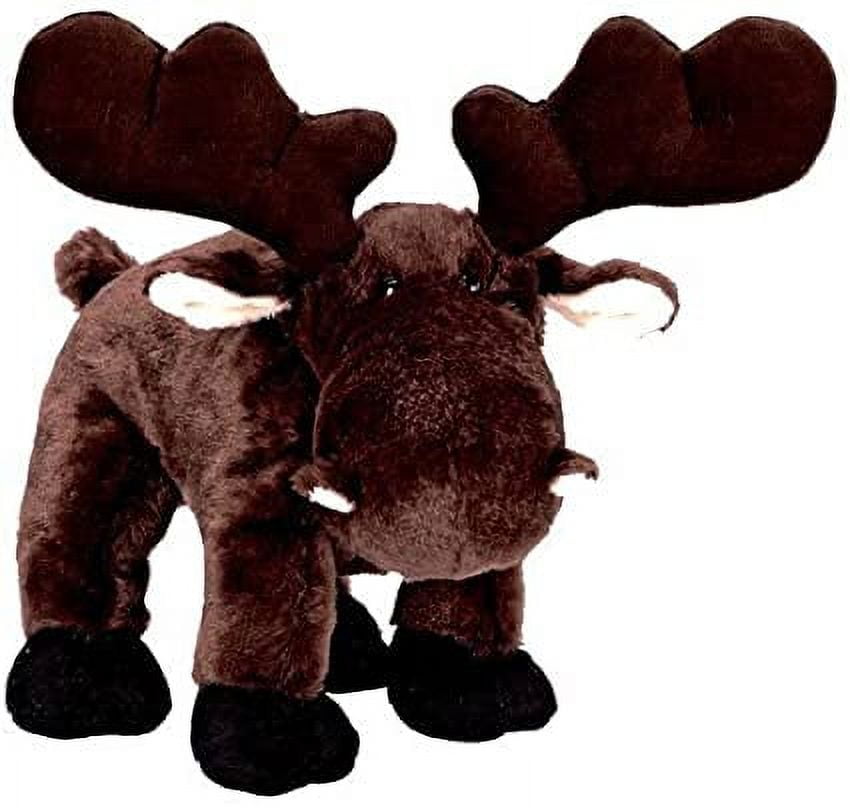 Webkinz moose cheap
