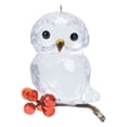 thumbnail image 1 of Ganz Winter Owl Ornament, 3-inch Length, White and Red, 1 of 3