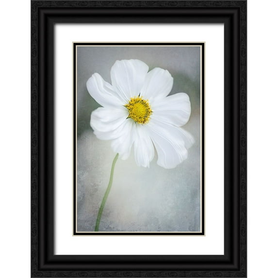 GaoSL 23x32 Black Ornate Wood Framed with Double Matting Museum Art Print Titled - White Calliopsis