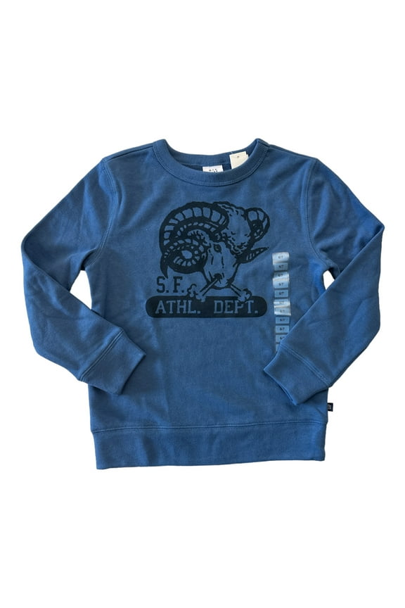 Boy's Terry Lined Graphic Print Crewneck Pullover Sweatshirt (Blue, XL (14-16))