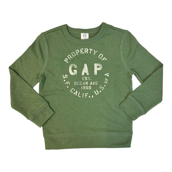 Gap Boy's Terry Lined Graphic Print Crewneck Pullover Sweatshirt (Green, XS (4/5))
