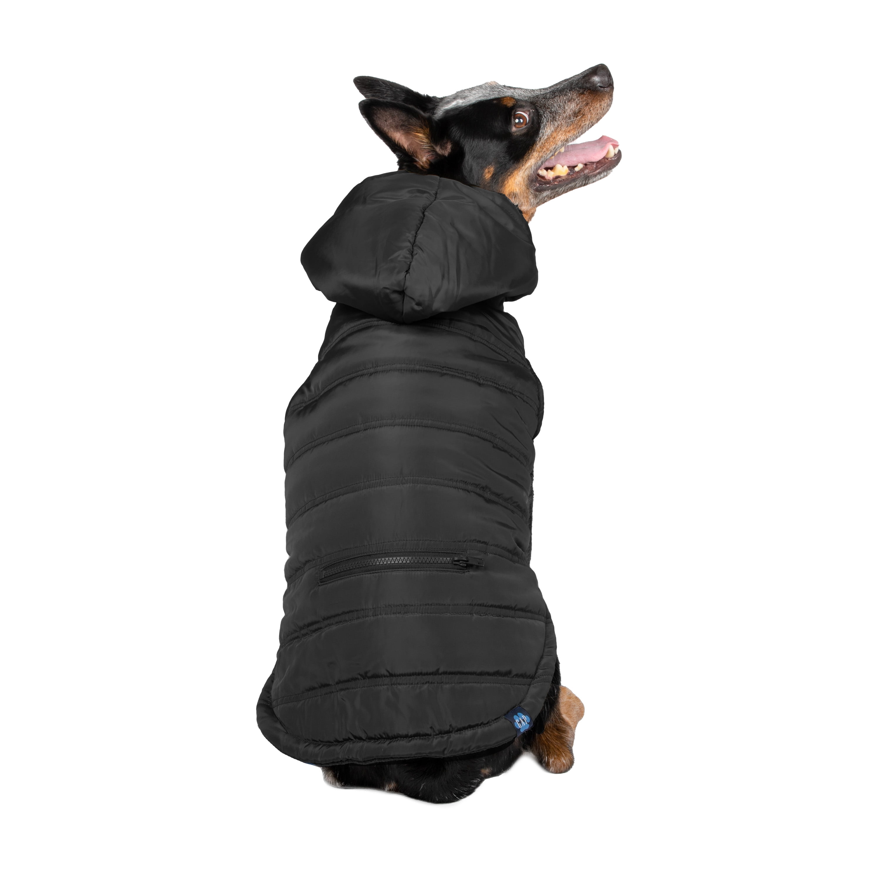 gap dog jacket