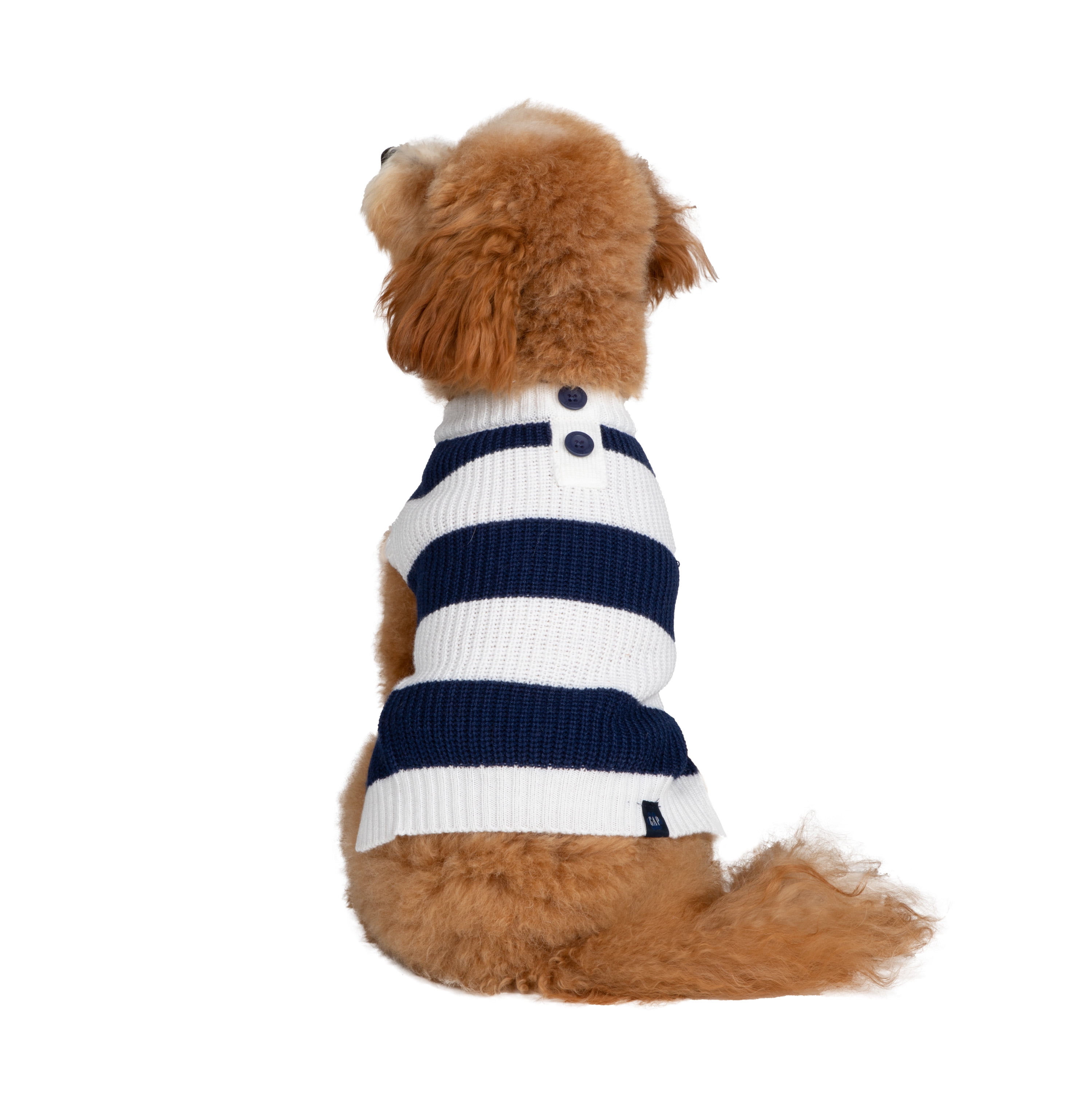 Gap Pet, Dog Clothes, Blue Striped Henley Pet Sweater