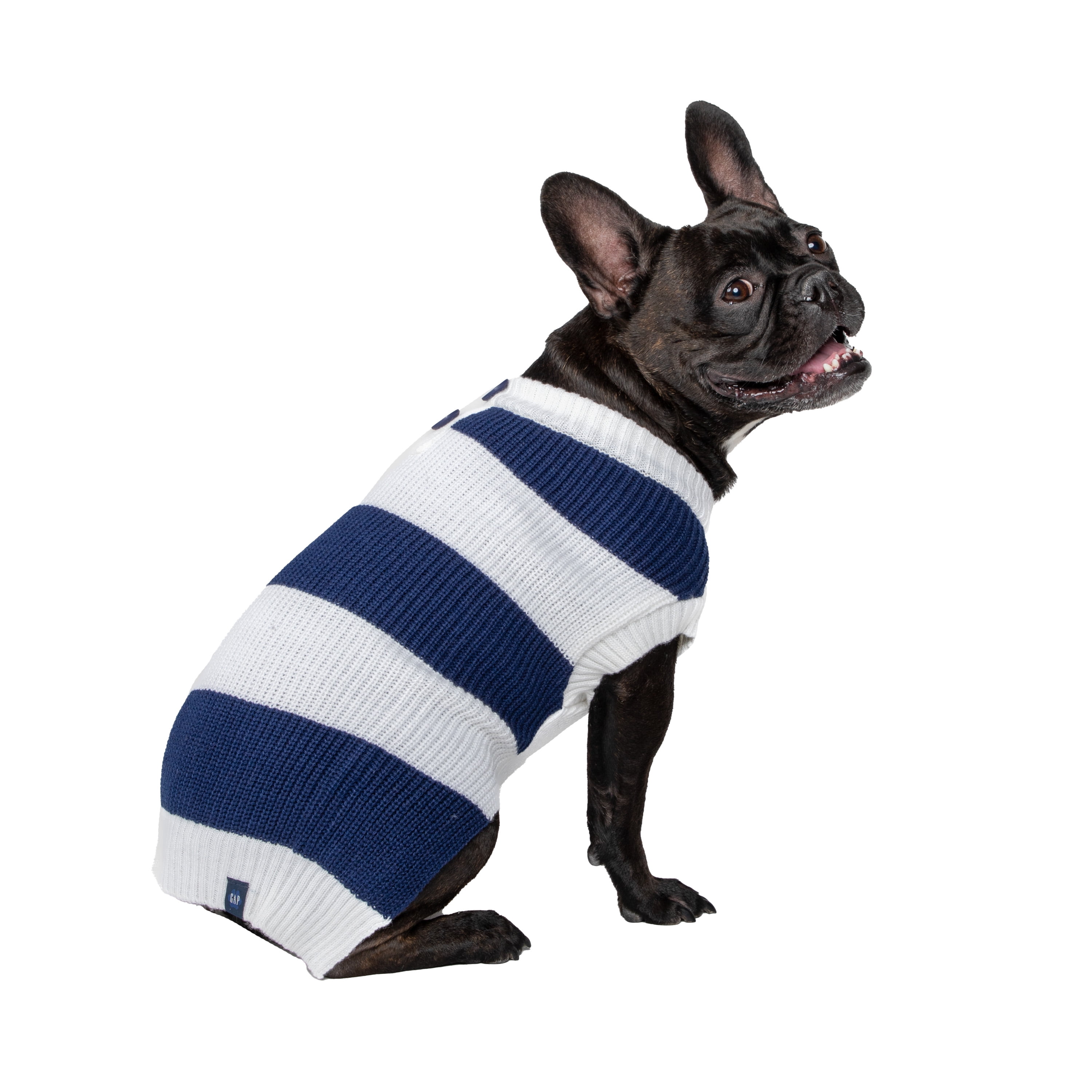 Gap Pet, Dog Clothes, Blue Striped Henley Pet Sweater