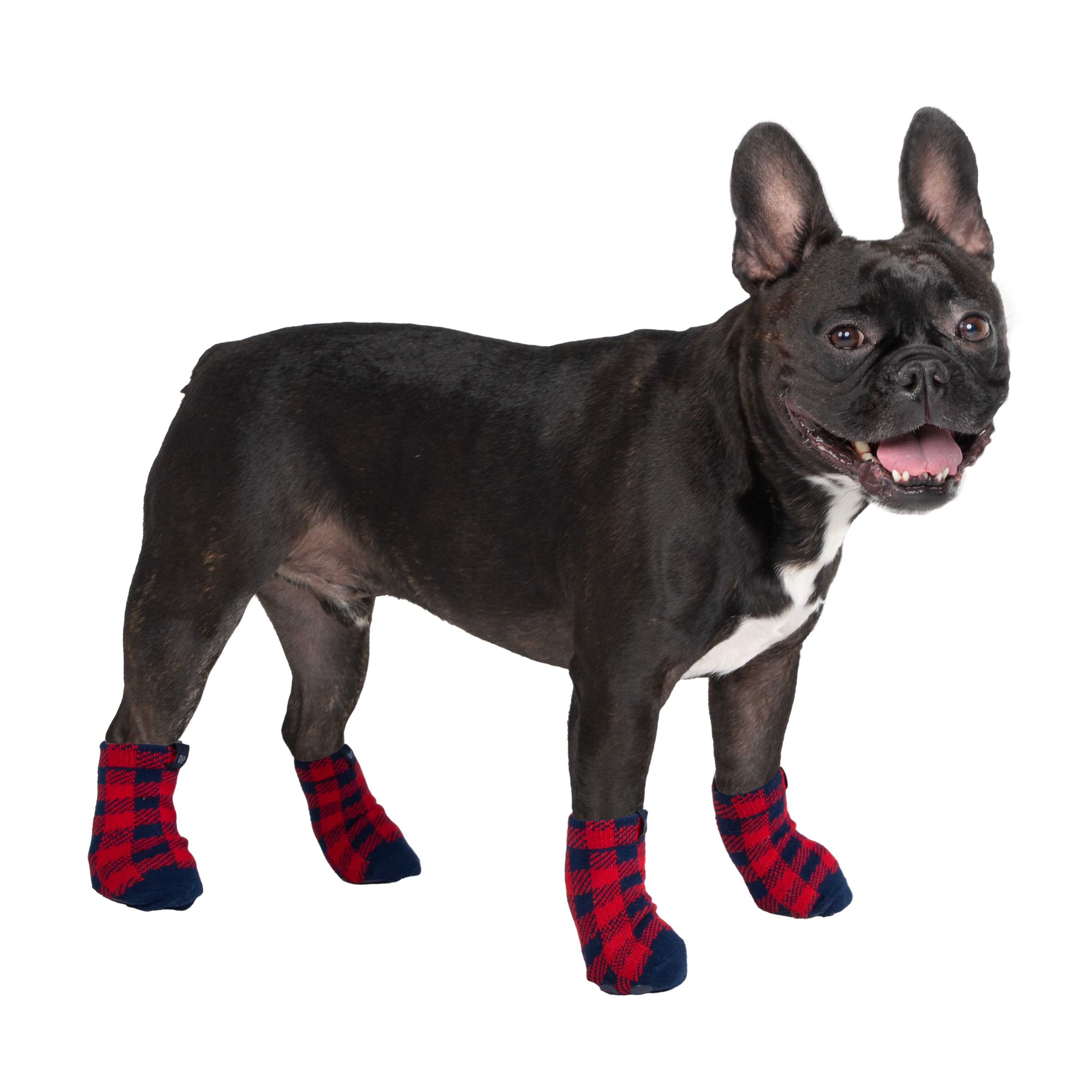 Compression Dog Socks - Red