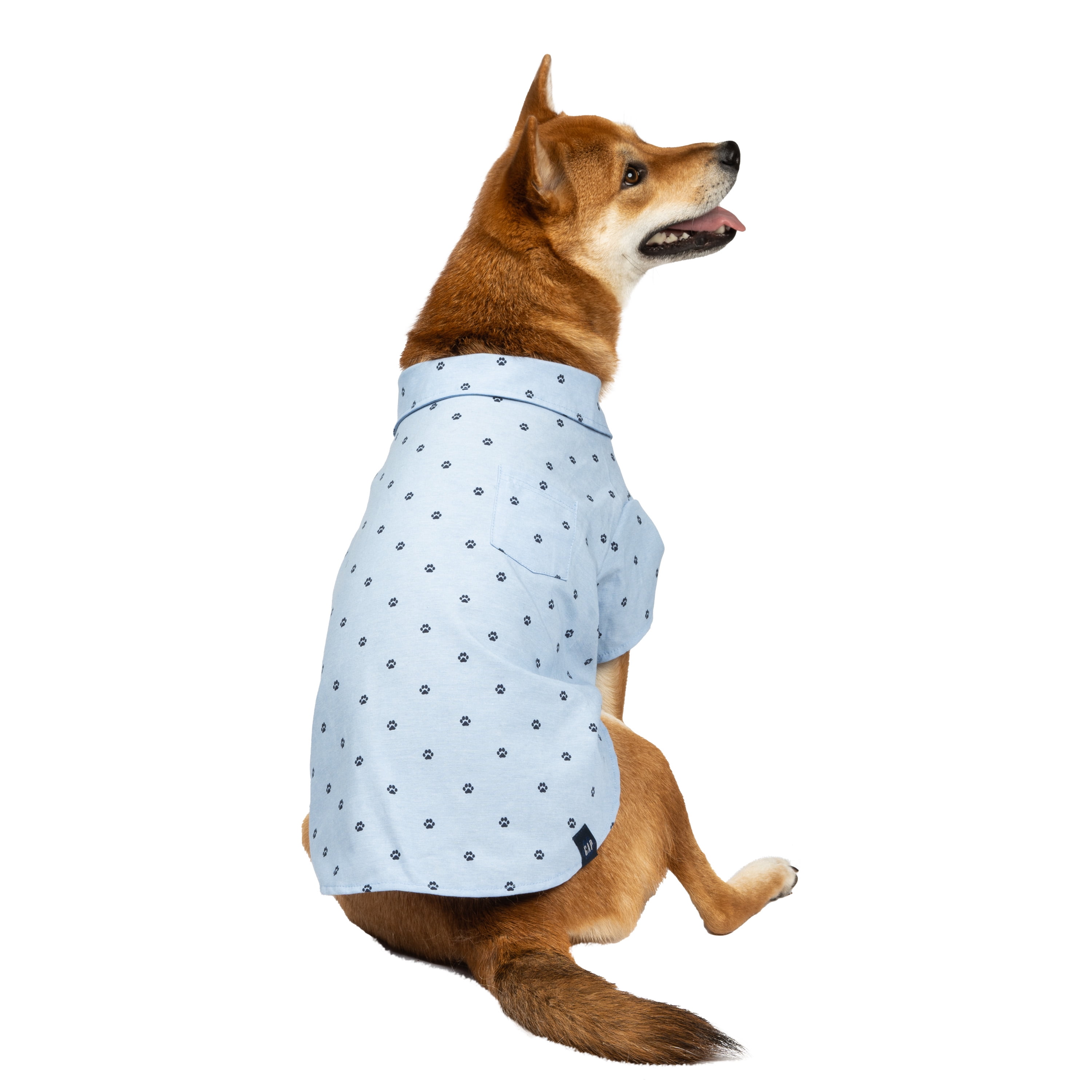 Dog white outlet shirt