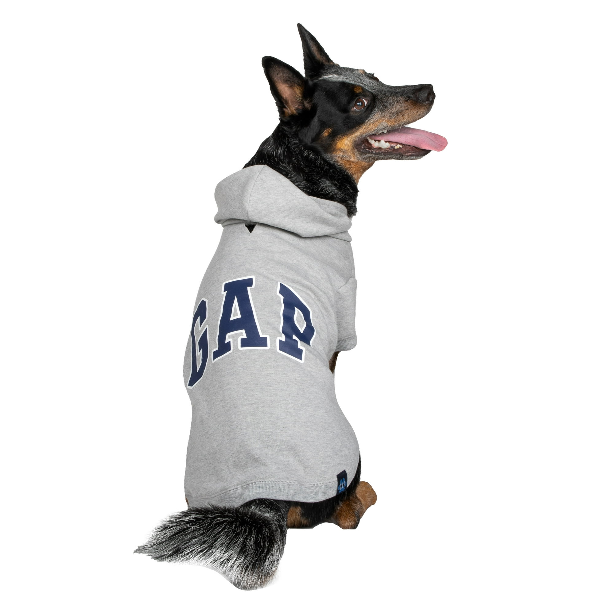 Gap Pet, Dog Clothes, Green Classic Pet Hoodie 