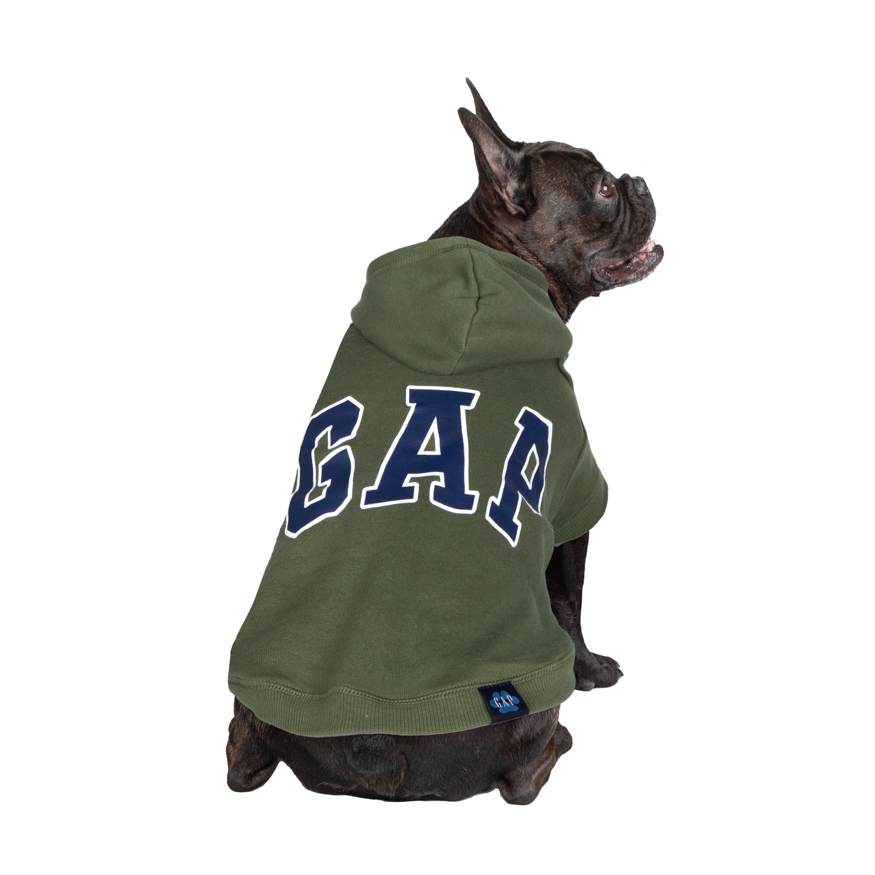Gap Pet Dog Clothes Green Classic Pet Hoodie Walmart