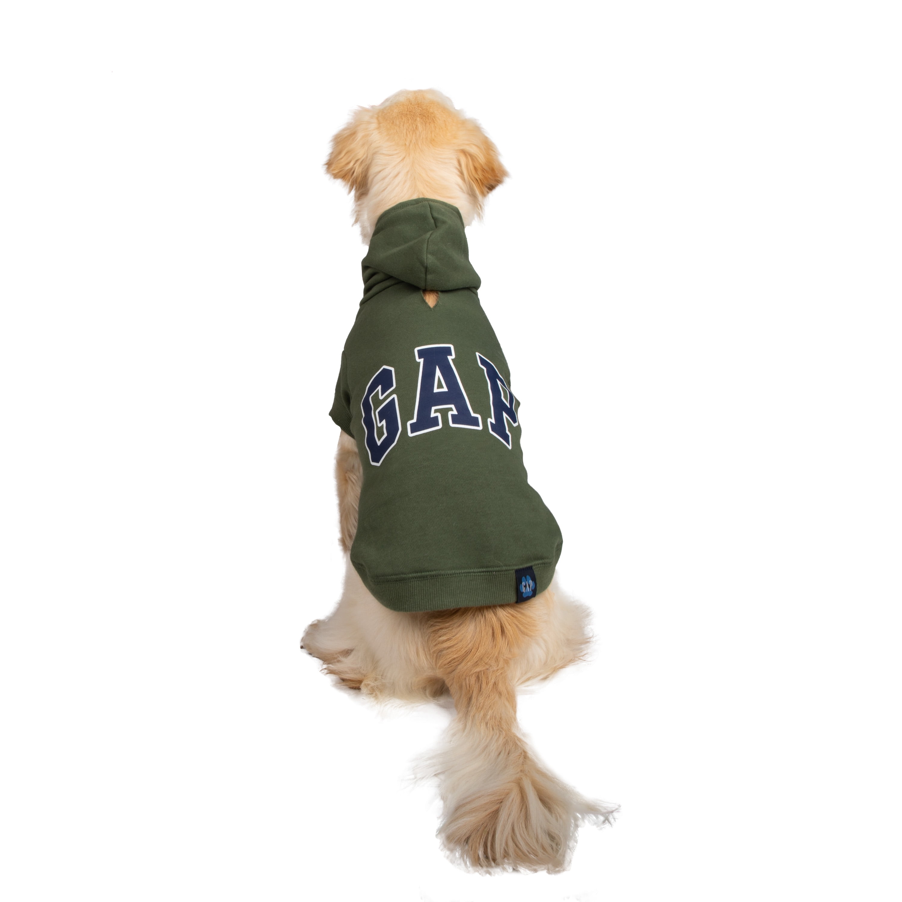 Gap Pet, Dog Clothes, Green Classic Pet Hoodie
