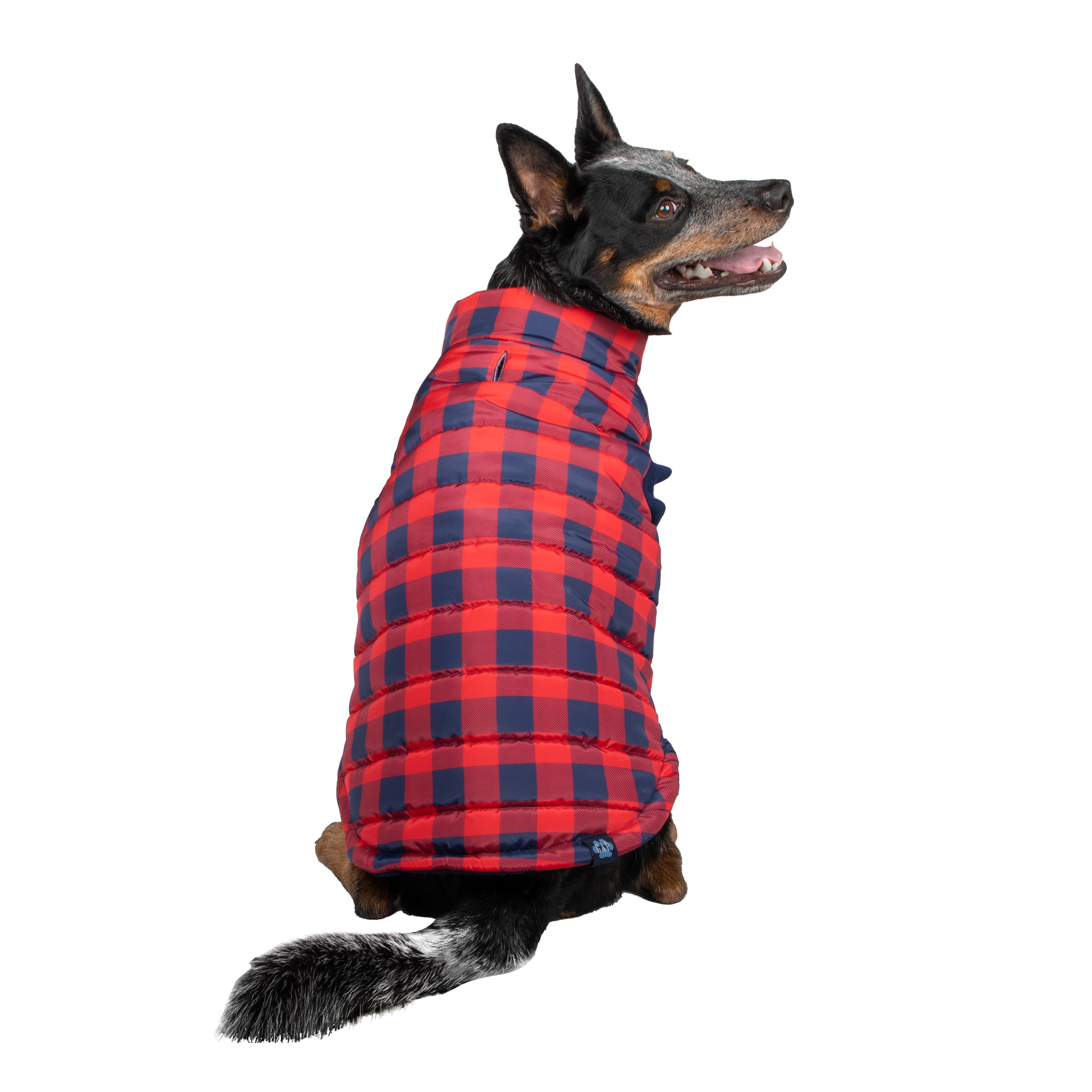 Gap dog shop sweater