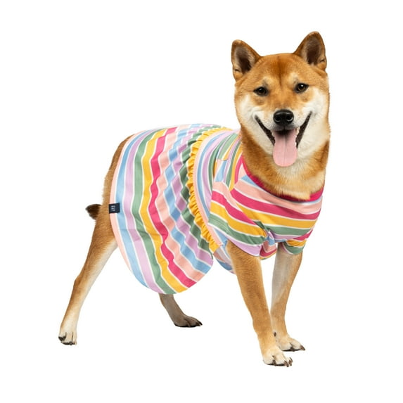 Gap Pet, Dog Clothes, Striped Gap Pet Dress, Multi-Color, L