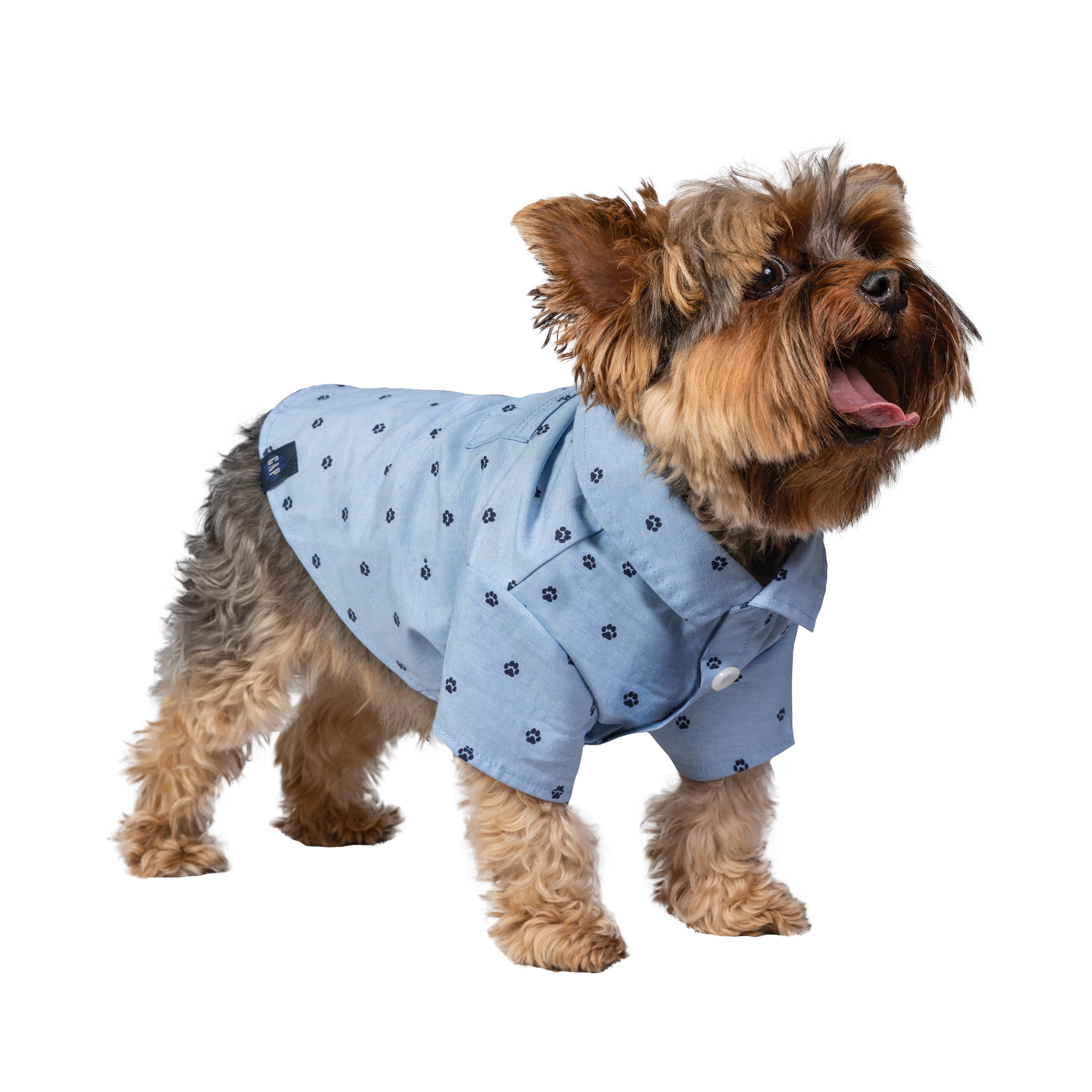 Gap Pet, Dog and Cat Clothes, Chambray Gap Dog TShirt, Blue, XS