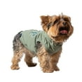 thumbnail image 1 of Gap Pet, Dog and Cat Clothes, Classic Logo Gap Pet Hoodie, Green, XS, 1 of 8
