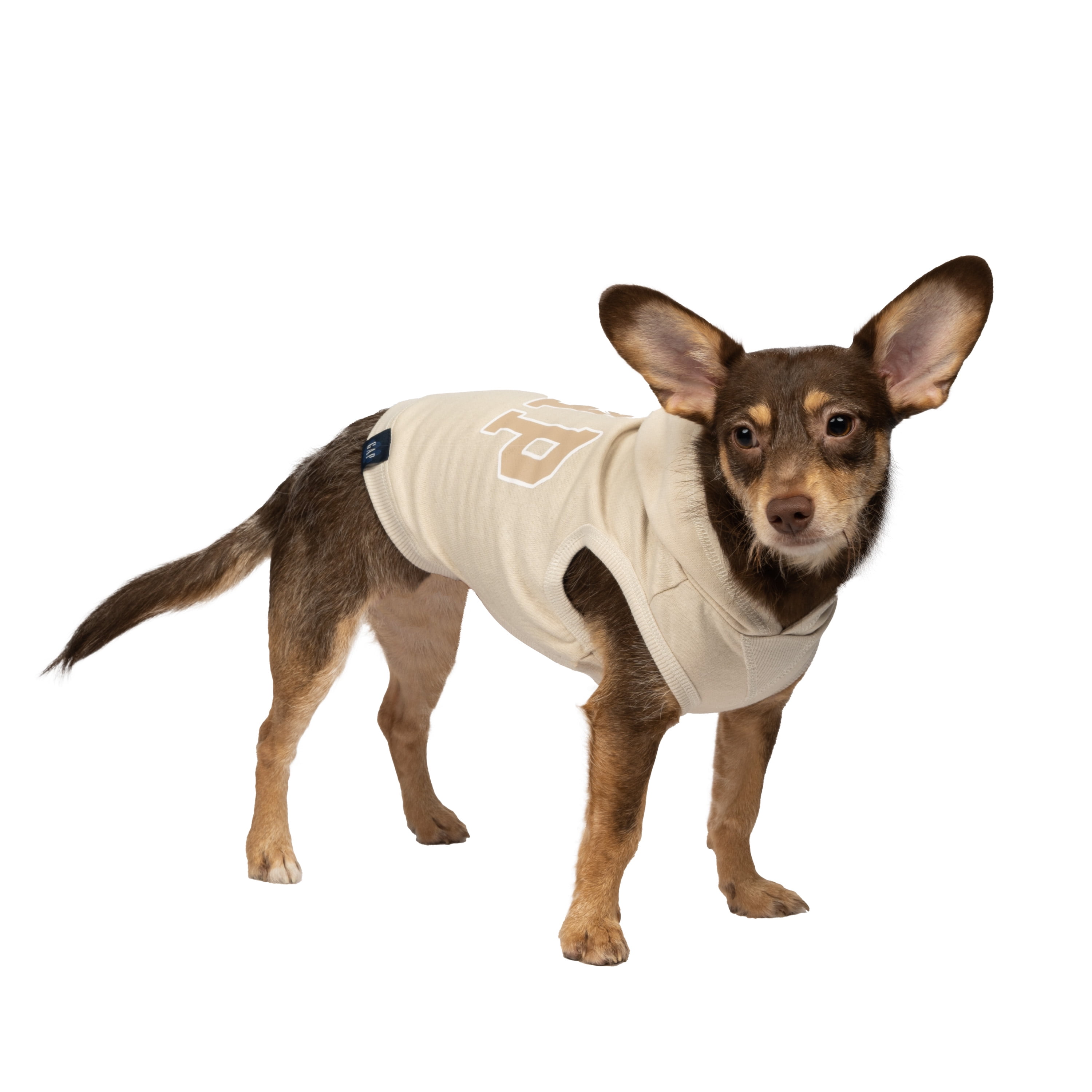 Gap Pet, Dog and Cat Clothes, Classic Logo Gap Dog Hoodie, Tan