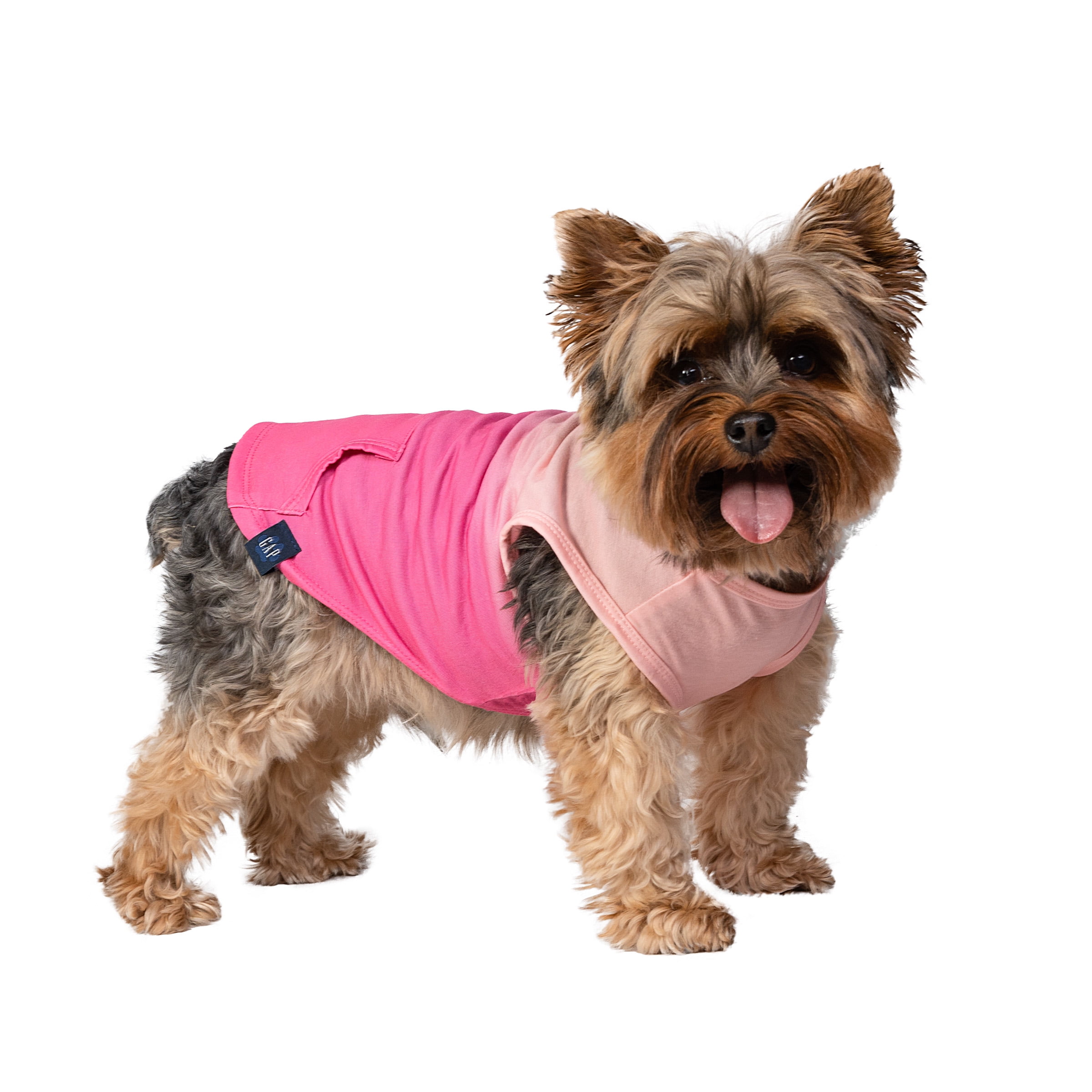 Gap Pet, Dog and Cat Clothes, Gradient Pocket Gap Pet TShirt, Pink, XS